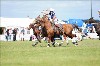 UKPA NC SAT_2607